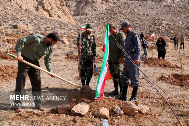 مراسم روز درختکاری در کرمانشاه