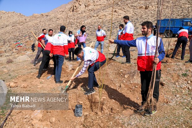 مراسم روز درختکاری در کرمانشاه