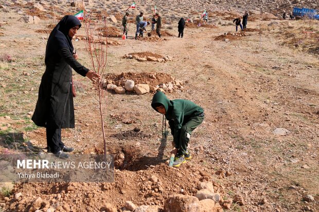 ضرورت ایجاد کمربند سبز در اهواز؛ حائلی برای حفظ طبیعت و کاهش آلودگی
