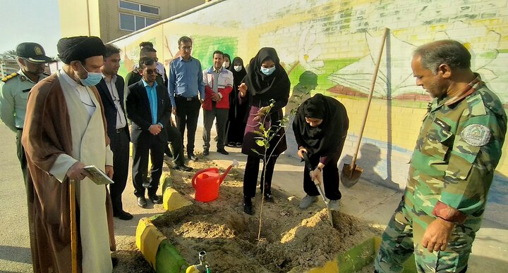 مراسم روز درختکاری در دیر برگزار شد