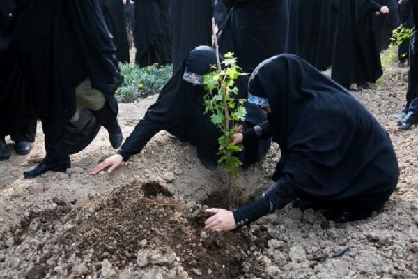 درختکاری در مدارس خوزستان آغاز می‌شود