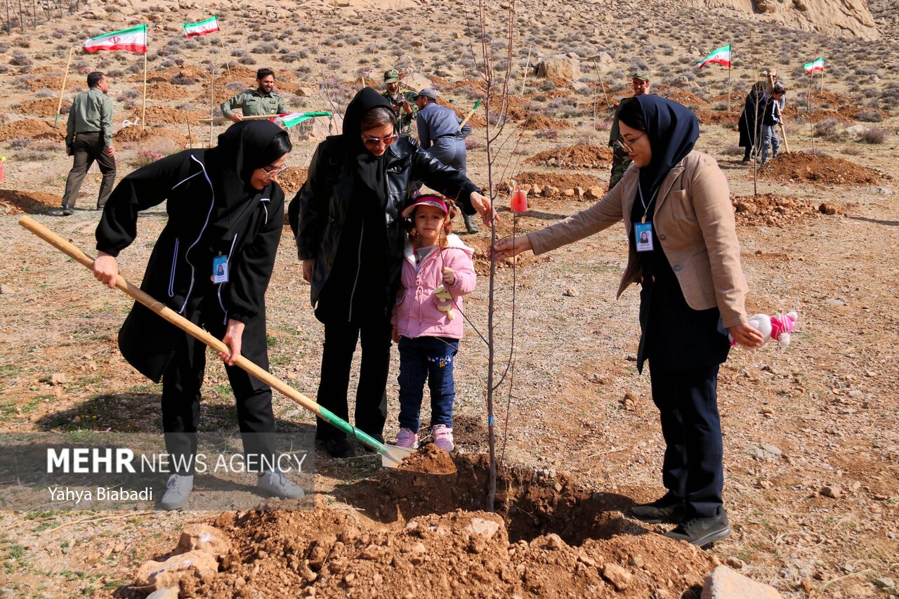 کاشت ۲۰۰۰ اصله درخت بلوط در سراب قنبر کرمانشاه