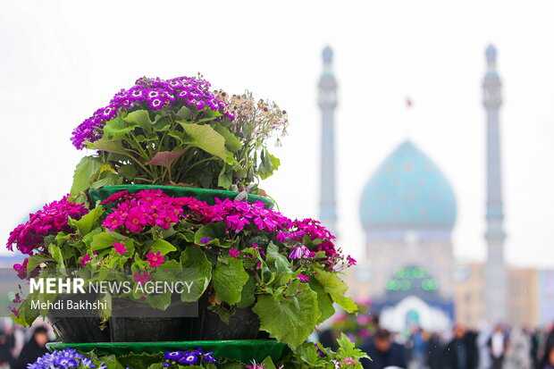 شور مردم قزوین در جشن نیمه شعبان 