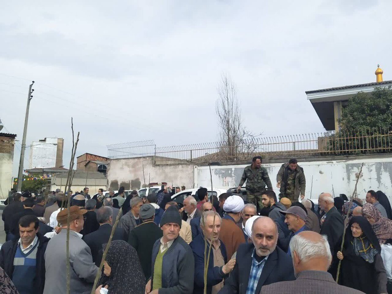۱۳۰۰ اصله نهال گردو و انار بین مردم شهر گرگان توزیع شد