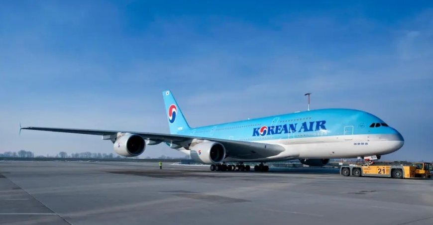 تخلیه ۲۱۸ مسافر هواپیمای مسافربری کره جنوبی به دلیل مسائل امنیتی