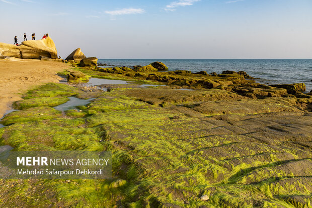 ایران من | مُکَسَر، زیباترین ساحل صخرهای خلیج فارس 6