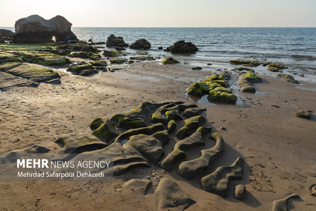 ایران من | مُکَسَر، زیباترین ساحل صخرهای خلیج فارس 9