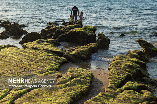 ایران من | مُکَسَر، زیباترین ساحل صخرهای خلیج فارس 13