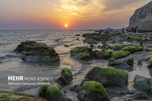 ایران من | مُکَسَر، زیباترین ساحل صخرهای خلیج فارس 39