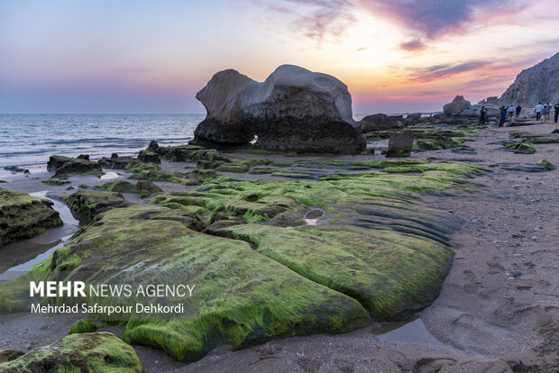ایران من | مُکَسَر، زیباترین ساحل صخرهای خلیج فارس 46