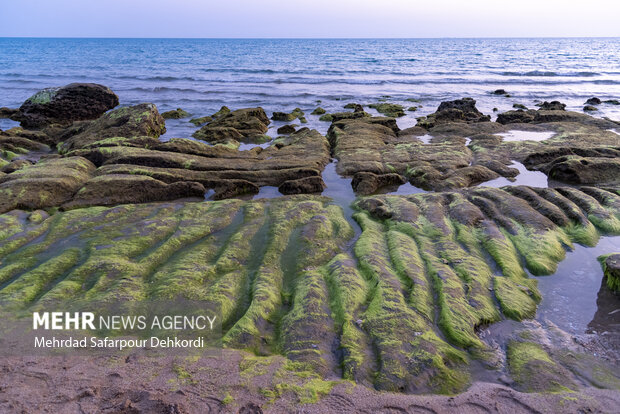 ایران من | مُکَسَر، زیباترین ساحل صخرهای خلیج فارس 48