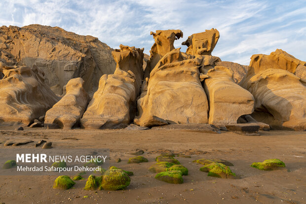ایران من | مُکَسَر، زیباترین ساحل صخرهای خلیج فارس 14