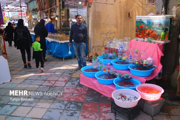 Goldfish market ahead of Nowruz