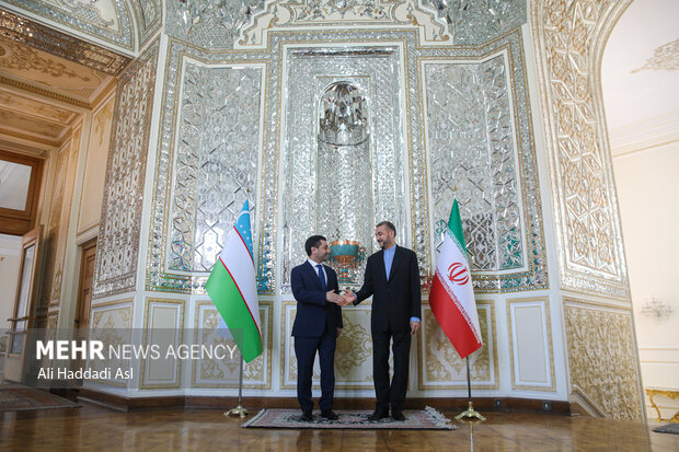 ایرانی وزیر خارجہ سے ازبکستان کے قائم مقام وزیر خارجہ کی ملاقات
