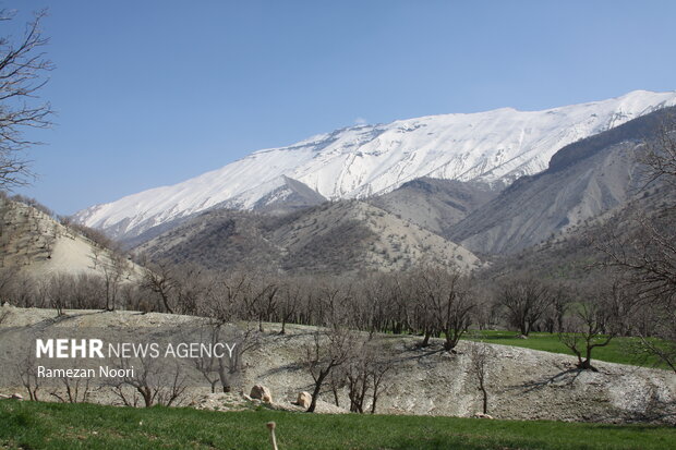 جاذبه های گردشگری جاده ایلام-بدره/ از «مله پنجاب» تا«رازیانه»