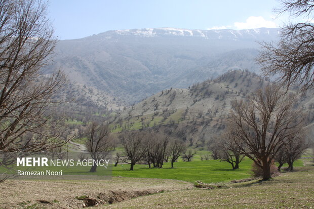 جاذبه های گردشگری جاده ایلام-بدره/ از «مله پنجاب» تا«رازیانه»