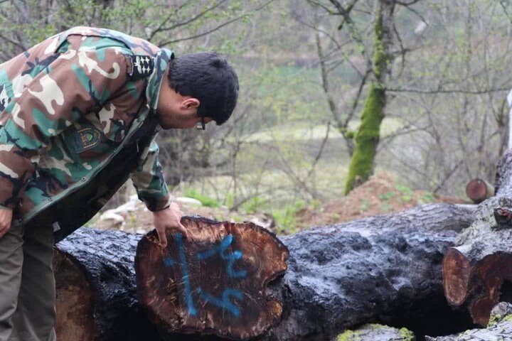 «جنگلبان طبیعت»