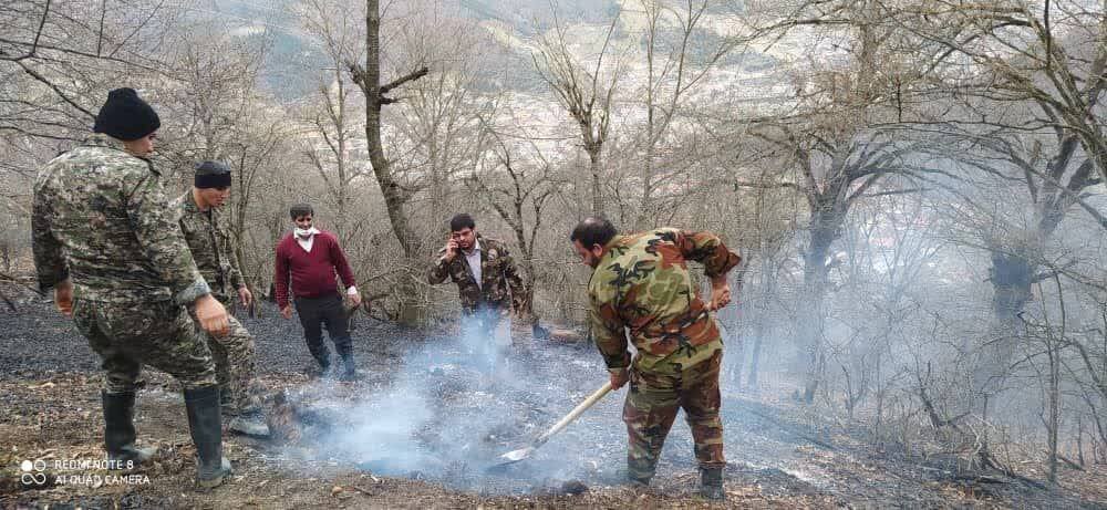 اره موتوریها لرزه بر تن جنگل و جنگلبان می اندازد