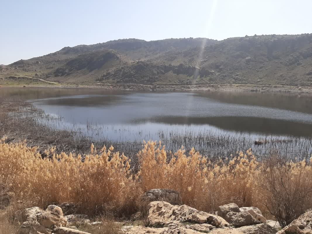 سفری به دیار تالابها