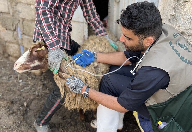 حضور پای کار جهادگران دامپزشک در مناطق محروم و زلزله‌زده خوی