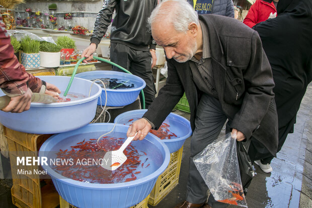 Tabriz Bazar ahead of Nowruz