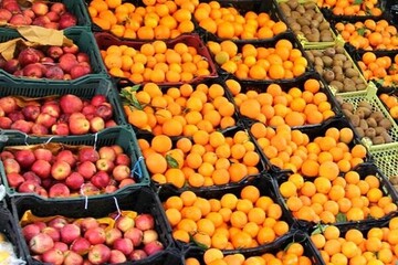 آغاز توزیع میوه شب عید کرمانشاه/عرضه میوه ۱۰ درصد زیر قیمت بازار