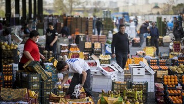 توزیع ۹۰۰ تن سیب و پرتقال در فارس