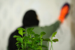 ترکیب مرگبار مواد شوینده در خانه‌تکانی