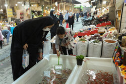 Sale of goldfish for Haftseen