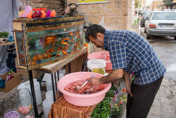 Iranians busy shopping for New Year