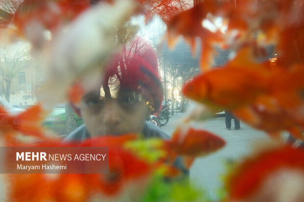 ماهی قرمز از کدام دریا به سفره هفتسین رسید؟