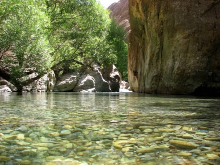 مجموعهای از نقاشیهای حیرتانگیز طبیعت