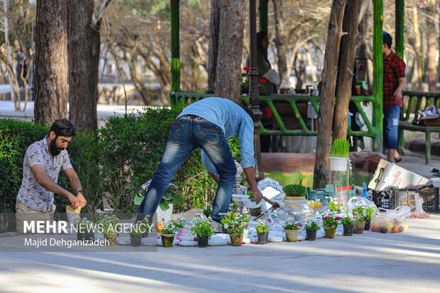 Yazd city decorated with Haft-sin
