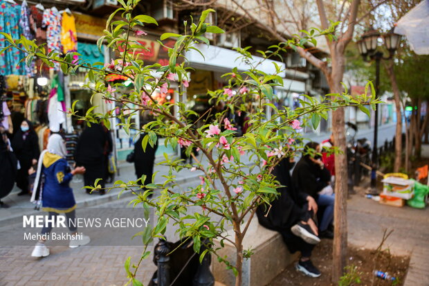 Qom market ahead of Nowruz