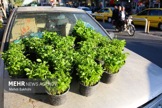 Qom market ahead of Nowruz