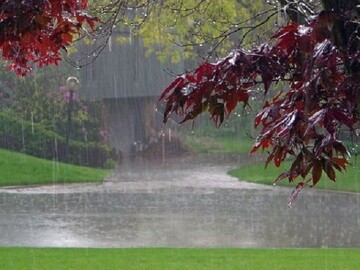 کهگیلویه و بویراحمد بارانی شد/ ثبت ۱۲ میلیمتر بارش در «بابکان»