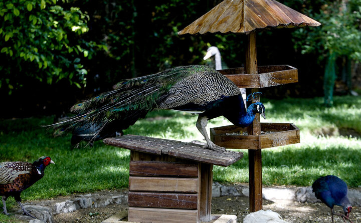 ساز کوک جاذبههای اصفهان برای گردشگران نوروزی