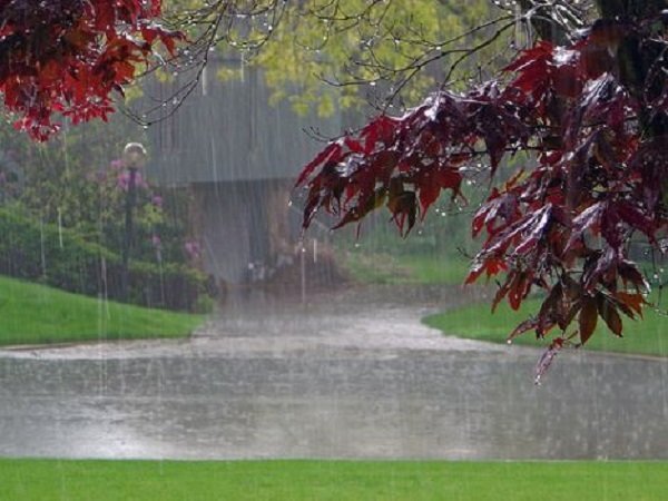 تمرکز بارش‌ها در مناطق مختلف اردبیل تا هفته آینده