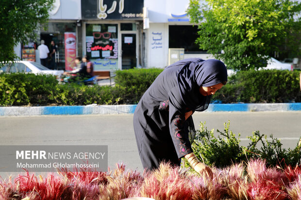 بازار سفره هفت سین در بوشهر