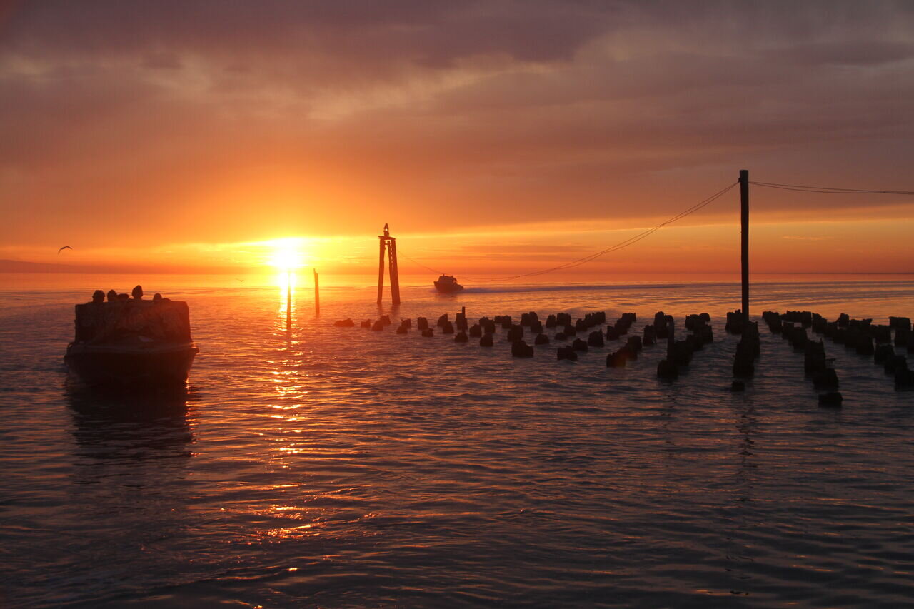 آشوراده درگوشه رینگ سازمان محیط زیست