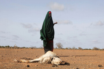 زنگ خطر مرگ و میر ناشی از خشکسالی در یک کشور آفریقایی به صدا درآمد