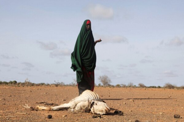 زنگ خطر مرگ و میر ناشی از خشکسالی در کشور آفریقایی به صدا درآمد