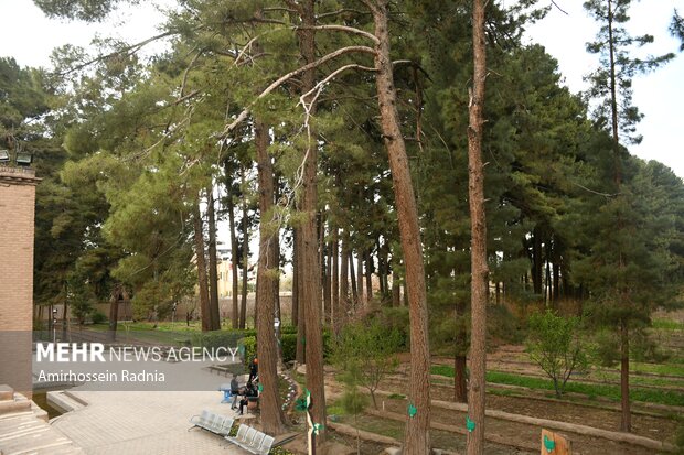 Akbariyeh Garden in Birjand
