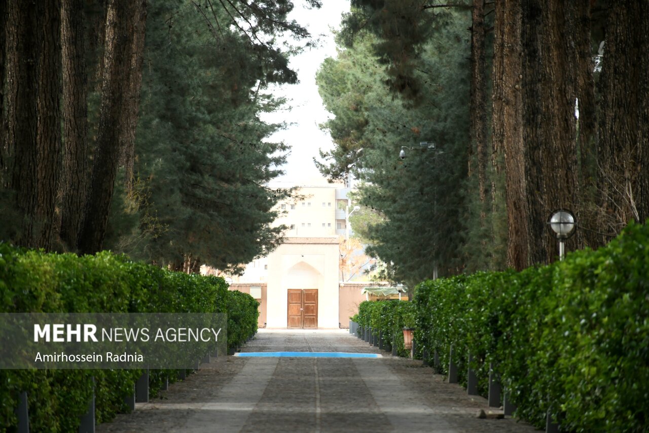 پاییز فصل شکوفایی شرق ایران؛ روایت رنگ، فرهنگ و رونق در خراسان جنوبی