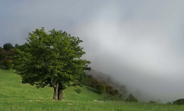 سفری رویایی به دهکده های کوهستانی/ اینجا رنگ ها غوغا می کنند