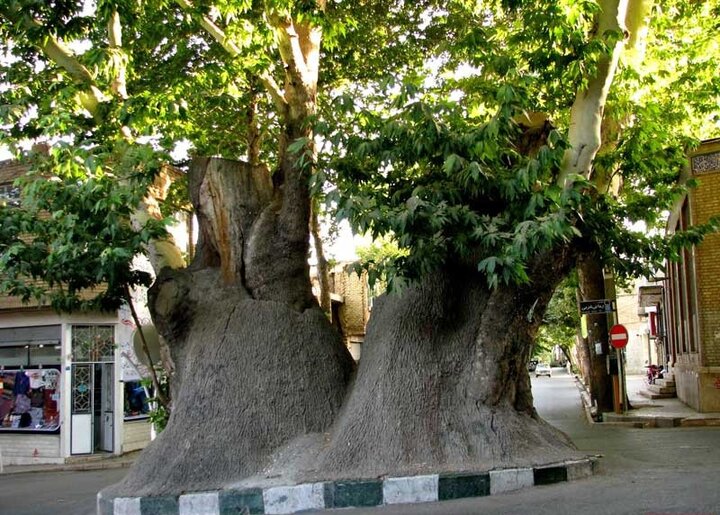 گذری بر شهر گل و گیاه ایران/محلات شهر چشمههای آبگرم