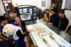 عملیات نمای موزه باستان‌شناسی دره شهر ایلام در حال انجام است