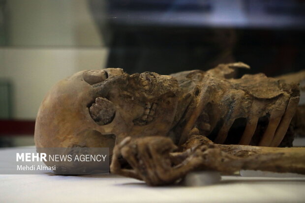 موزه مردم شناسی و مردان نمکی روایتگر تمدن و غنای هنر ایرانی