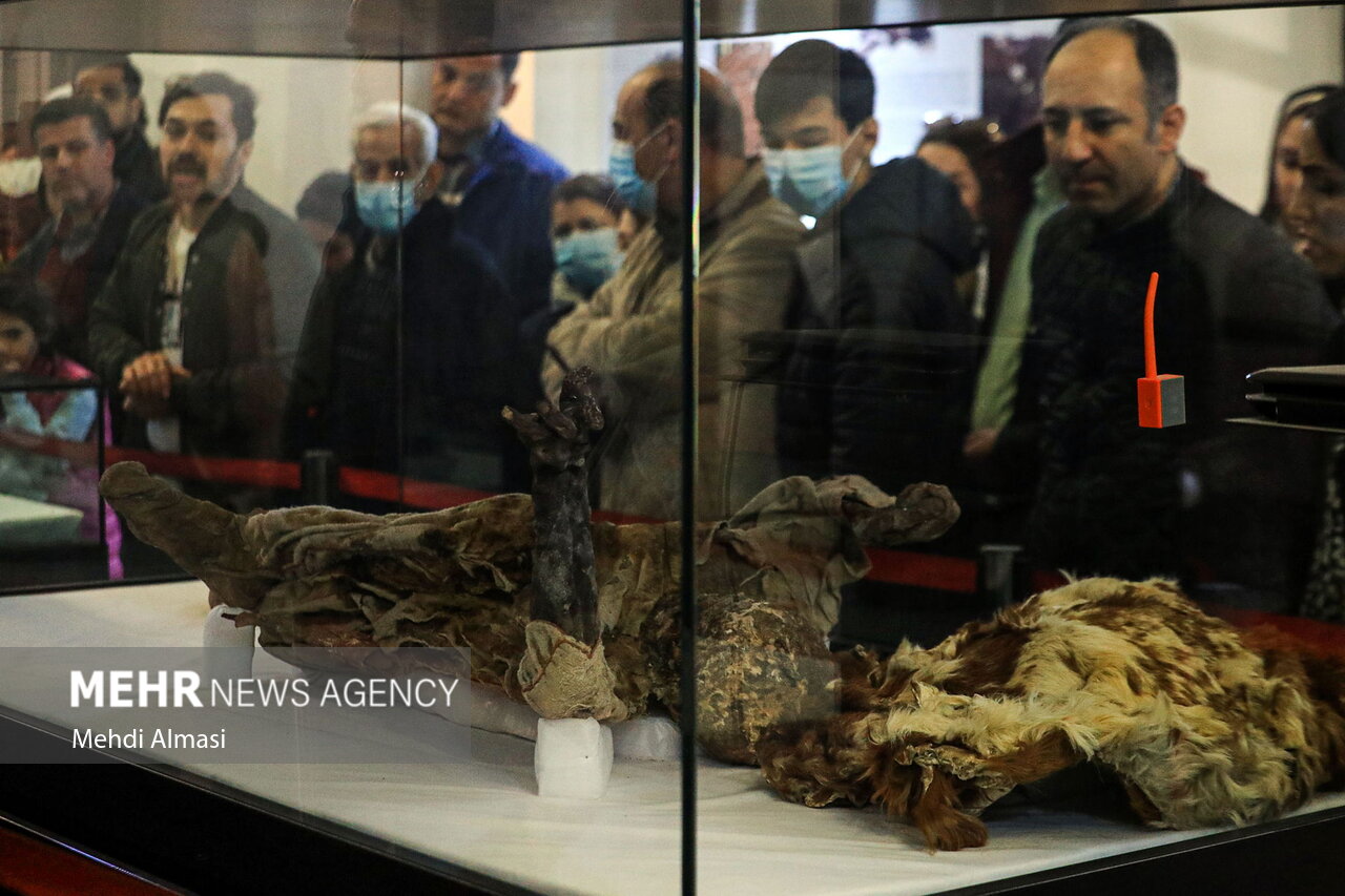 موزه باستان شناسی زنجان«مردان نمکی»نمایی بی بدیل از فرهنگ و تمدن