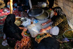 عشایر ایلام در خط مقدم تولید؛ زیرساخت‌ها نیازمند انتظار حمایت ملی